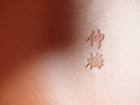 /album/%e7%b6%b2%e8%b7%af%e7%9b%b8%e7%b0%bf/dsc03288-jpg/